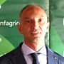 DL Bollette, Confagricoltura lancia l’allarme: a rischio il comparto biogas e biomasse agricole