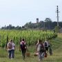 Un'immagine (ph, Merfephoto - Efrem Zanchettin) di un precedente 'pic-nic' organizzato presso il Bosco degli Astigiani
