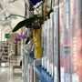 Un particolare scorcio dei saloni della Biblioteca