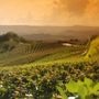 Le colline di Langhe, Roero e Monferrato patrimonio Unesco al centro del viaggio social di Miss Italia