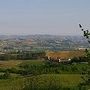 San Martino Alfieri