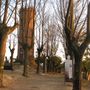 La torre del conte Ballada di Saint Robert, a Castagnole Monferrato