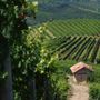 I colori del Monferrato accendono la domenica di Golosaria: arte, gusto e paesaggio protagonisti in 37 borghi