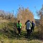 Settimana con il Monferrato Nordic walking: tutti gli appuntamenti dal 12 al 17 maggio