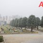 Il cimitero urbano di Asti (Merphefoto) Il cimitero urbano di Asti (Merphefoto)