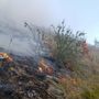 Foreste sicure e lotta agli incendi, la Regione rinnova l'intesa con i carabinieri forestali Foreste sicure e lotta agli incendi, la Regione rinnova l'intesa con i carabinieri forestali
