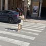 Occhio allo smartphone sulle strisce: il nuovo Codice della Strada potrebbe costare 75 euro ai pedoni