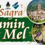 L'eccellenza del Toumin dal Mel in vetrina per la storica sagra di inizio agosto