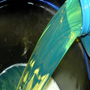 Gasolio agricolo