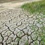 Siccità in Piemonte, pronta la dichiarazione dello stato di emergenza per la crisi idrica