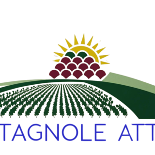 Castagnole delle Lanze, il caso Cerere: il comitato rilancia con dieci domande all'Amministrazione