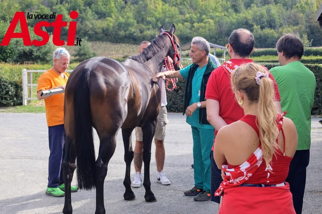 Il cavallo di Moncalvo (Merphefoto)