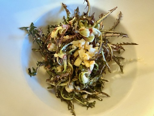 L’insalata di Tarassaco? Venite ad assaggiarla al ristorante Valli di Lanzo a Ceres