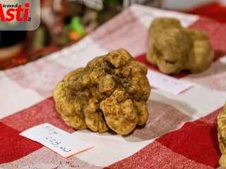 MerfePhoto MerfePhoto