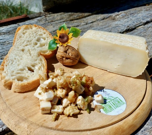 I Ciabrie: la passione di Laura per le capre che sfida l’inesorabile spopolamento di una valle alpina I Ciabrie: la passione di Laura per le capre che sfida l’inesorabile spopolamento di una valle alpina