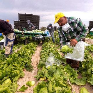 In Piemonte stop al lavoro per braccianti ed operai sotto il sole