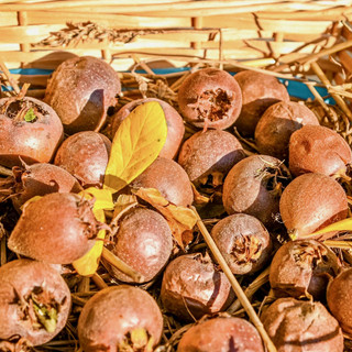 La Fiera del Puciu di Farigliano: la memoria dell’ultimo frutto dell’autunno