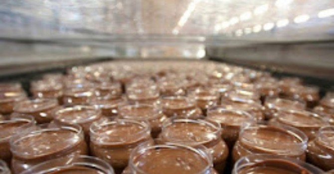 La dolce epopea della Nutkao diventa un film: ciak tra Langhe e Astigiano, si cercano comparse La dolce epopea della Nutkao diventa un film: ciak tra Langhe e Astigiano, si cercano comparse