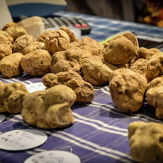 Fiera Regionale del Tartufo Bianco del Monferrato: il sapore del fungo ipogeo monferrino a Cortazzone