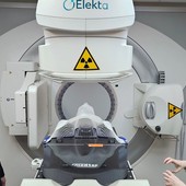 Le immagini della giornata (Merphefoto) Le immagini della giornata (Merphefoto)