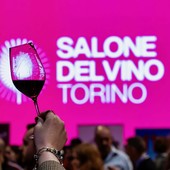 Salone del Vino Torino 2026: quando degustare diventa racconto diffuso Salone del Vino Torino 2026: quando degustare diventa racconto diffuso