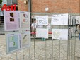 Le immagini della mostra (Merphefoto)