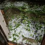 Supercella con grandine colpisce l'Astigiano: forti raffiche di vento e precipitazioni intense