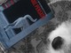&quot;Cani di domani”: ad Asti una rassegna per riflettere sul nostro rapporto con i cani