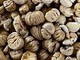 Azienda Agricola Marco Bozzolo: investire sulle castagne per custodire i castagneti Azienda Agricola Marco Bozzolo: investire sulle castagne per custodire i castagneti