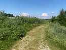 Alcune immagini postate dalla consigliera comunale Vittoria Briccarello