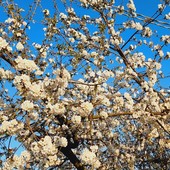 Castagnole Lanze e l’Astigiano al caldo fuori stagione: il 5 aprile sembra già estate