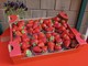 Peveragno torna a raccontarsi attraverso la sua fragola