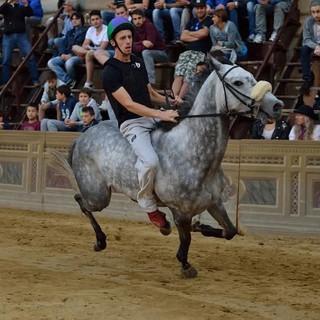 Federico Guglielmi