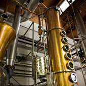 La distilleria Marolo di Alba