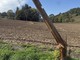 Maltempo, interrogazione sui danni a Corso Alba, Valle San Pietro e Borgomale