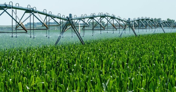 Emergenza caldo e siccità in Piemonte, Confagricoltura: "Servono interventi urgenti"