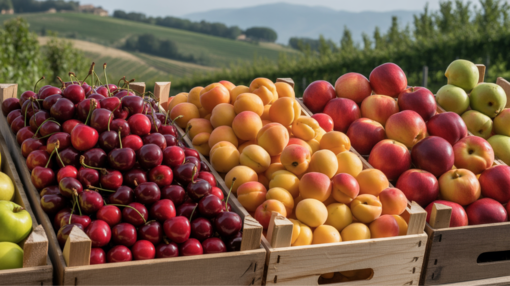 Stagione estiva positiva per l'ortofrutta piemontese: le  cooperative chiudono con il sorriso