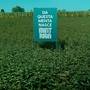 Mintriga: tutte le declinazioni della menta Mintriga: tutte le declinazioni della menta