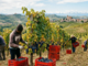 Stagionali agricoli, dalla Regione oltre 73mila euro per l’accoglienza temporanea Stagionali agricoli, dalla Regione oltre 73mila euro per l’accoglienza temporanea