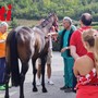 Il cavallo di Moncalvo (Merphefoto)