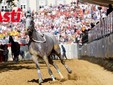 La prima batteria (Filippo Rozzino e Asia Barolo) La prima batteria (Filippo Rozzino e Asia Barolo)