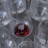Asti pronta per la seconda edizione del Barbera D’Asti Wine Festival