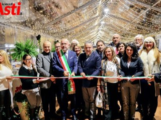 MerfePhoto MerfePhoto