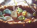 Un uovo di Pasqua contro il diabete Un uovo di Pasqua contro il diabete