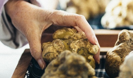 Moncalvo si prepara alla Fiera del Tartufo: tre giorni tra sapori, show cooking e novità immersive