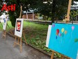 Le immagini della mostra (Merphefoto)