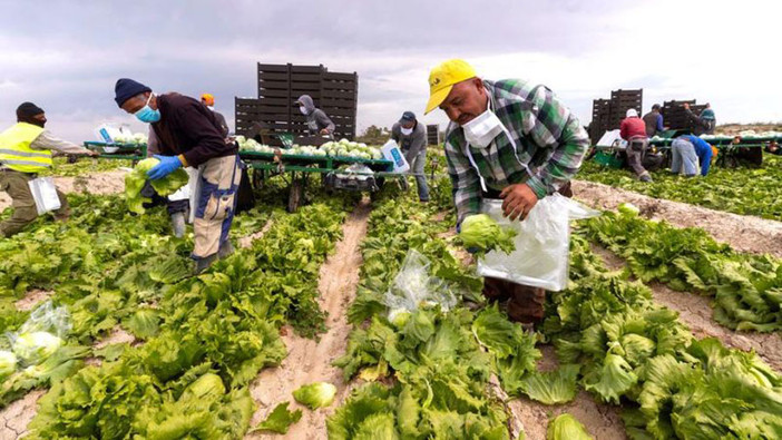 In Piemonte stop al lavoro per braccianti ed operai sotto il sole