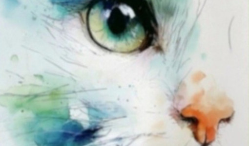 Castell'Alfero, mostra benefica “L'arte che aiuta” per la sterilizzazione dei gatti randagi