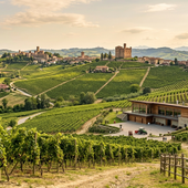 Zes al nord: la proposta per il settore vitivinicolo di Asti, Langhe, Roero e Monferrato Zes al nord: la proposta per il settore vitivinicolo di Asti, Langhe, Roero e Monferrato
