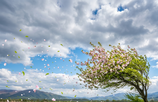 Forte vento di foehn su Asti e provincia: raffiche fino a 70 km/h ma cielo sereno